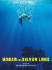 Under the Silver Lake