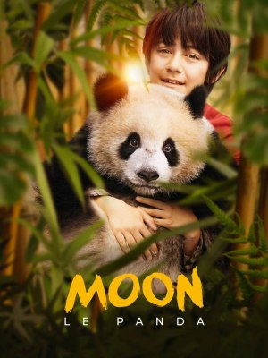 Moon le Panda