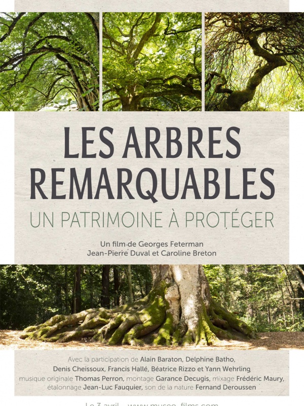 Les Arbres Remarquables, un patrimoine à protéger