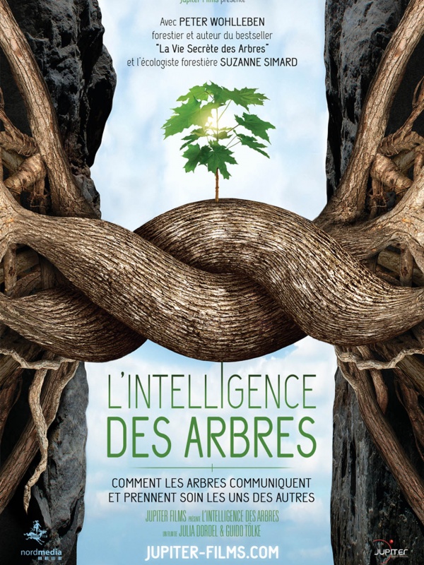 L'Intelligence des Arbres